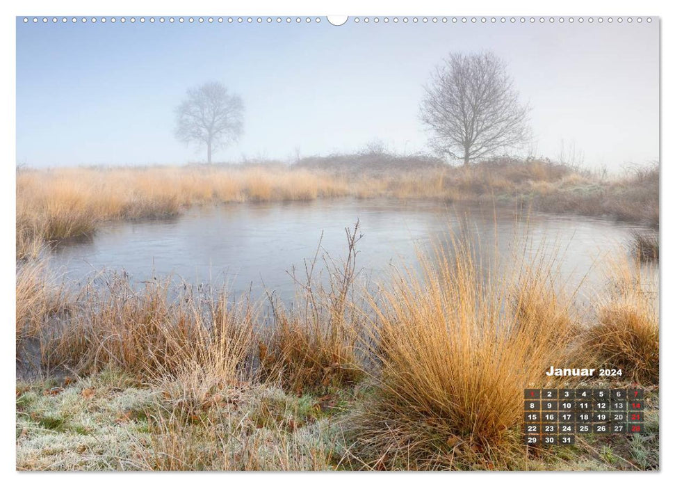 The Dingden Heath through the seasons (CALVENDO wall calendar 2024) 