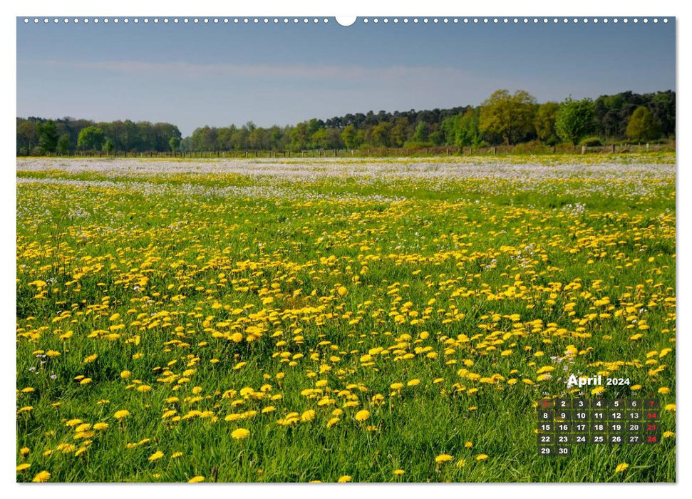 Die Dingdener Heide im Wandel der Jahreszeiten (CALVENDO Wandkalender 2024)