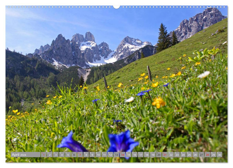 Die Bischofsmütze im schönen Salzburger Land (CALVENDO Premium Wandkalender 2024)