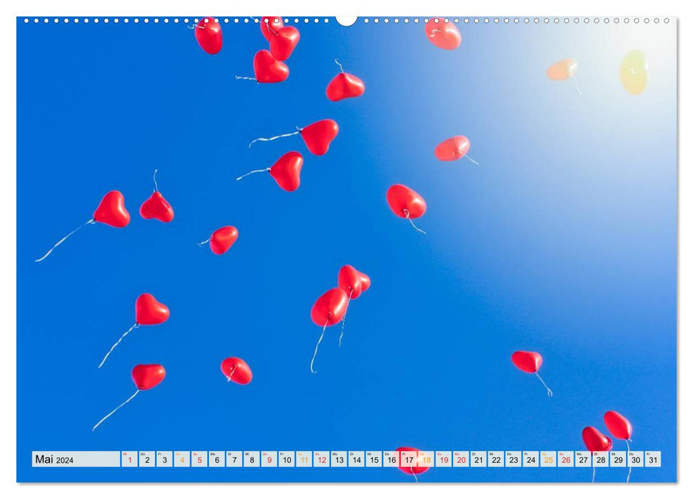 My beautiful colorful balloon (CALVENDO wall calendar 2024) 