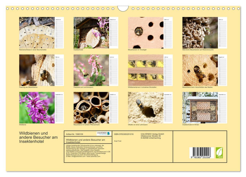 Wildbienen und andere Besucher am Insektenhotel (CALVENDO Wandkalender 2024)