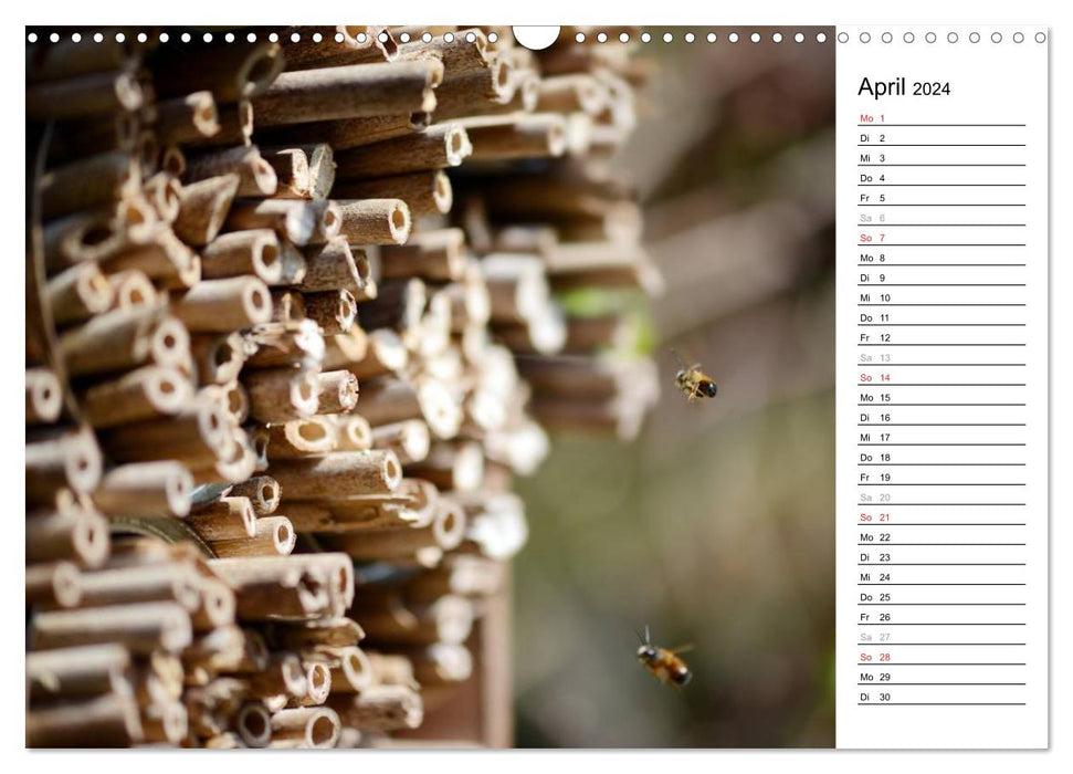 Wildbienen und andere Besucher am Insektenhotel (CALVENDO Wandkalender 2024)