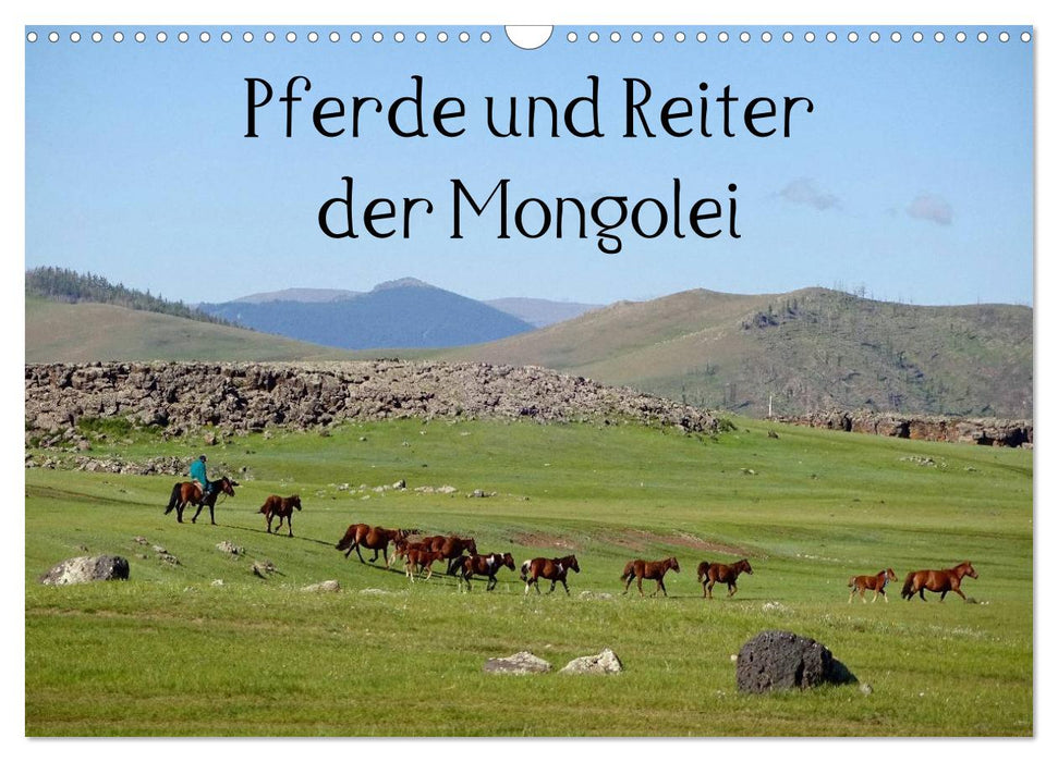 Chevaux et cavaliers de Mongolie (calendrier mural CALVENDO 2024) 