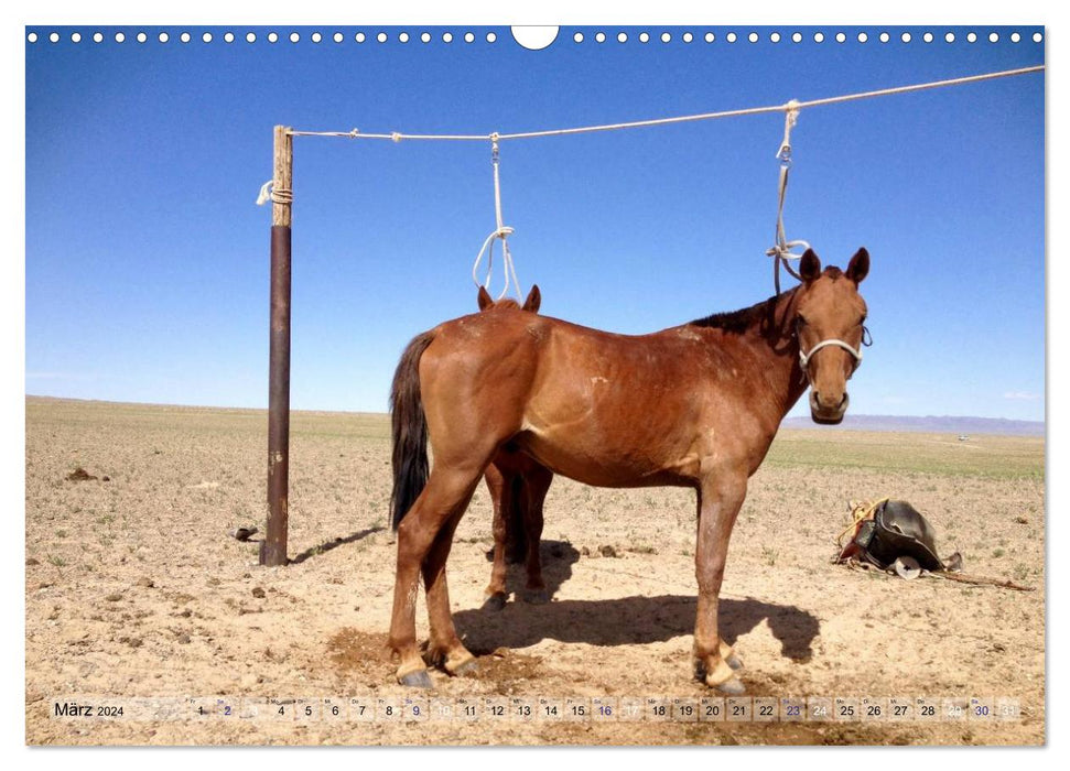 Chevaux et cavaliers de Mongolie (calendrier mural CALVENDO 2024) 