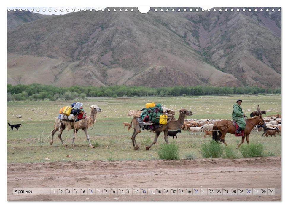 Pferde und Reiter der Mongolei (CALVENDO Wandkalender 2024)