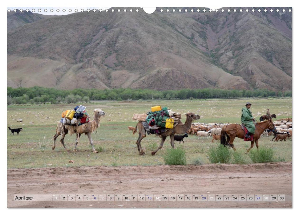 Chevaux et cavaliers de Mongolie (calendrier mural CALVENDO 2024) 