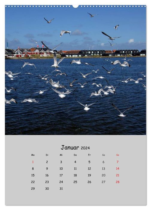 Denmark's West Coast 2024 (CALVENDO wall calendar 2024) 