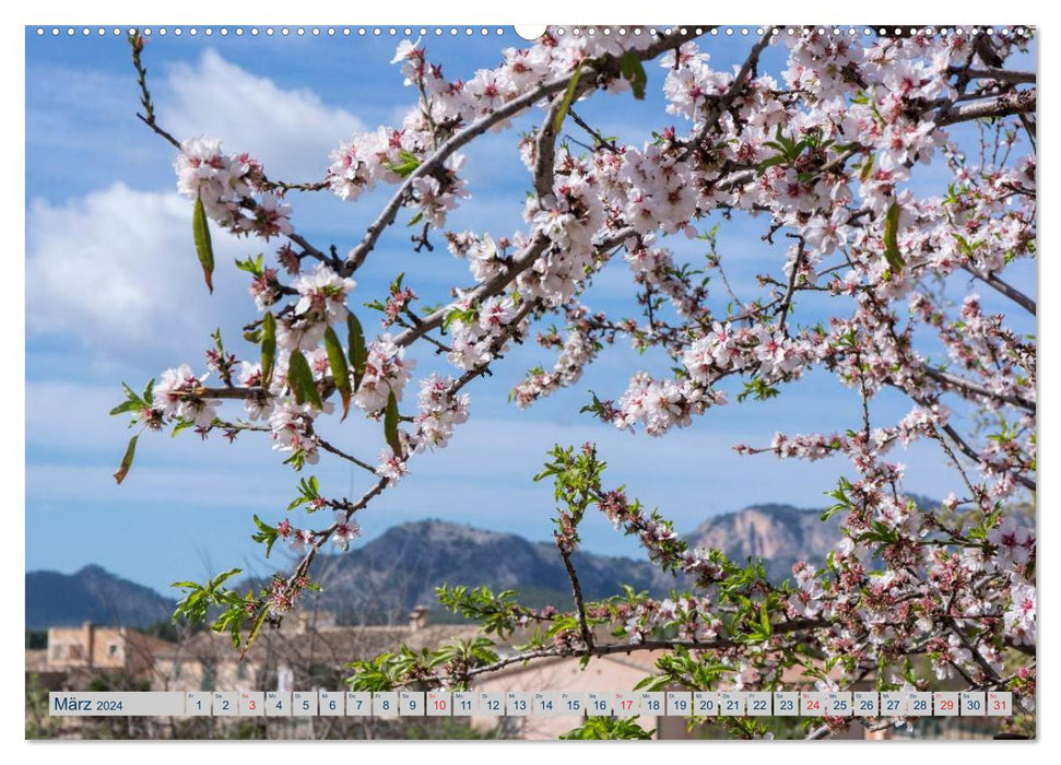 Mallorca's quiet beauty (CALVENDO wall calendar 2024) 