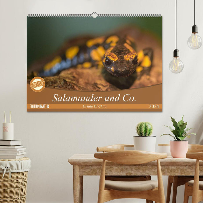 Salamandres et Cie. (Calendrier mural CALVENDO 2024) 