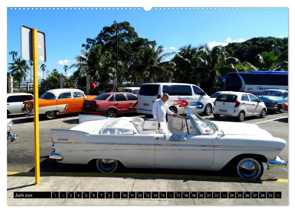 US DREAM CARS - Flossen-Mobile (CALVENDO Premium Wandkalender 2024)