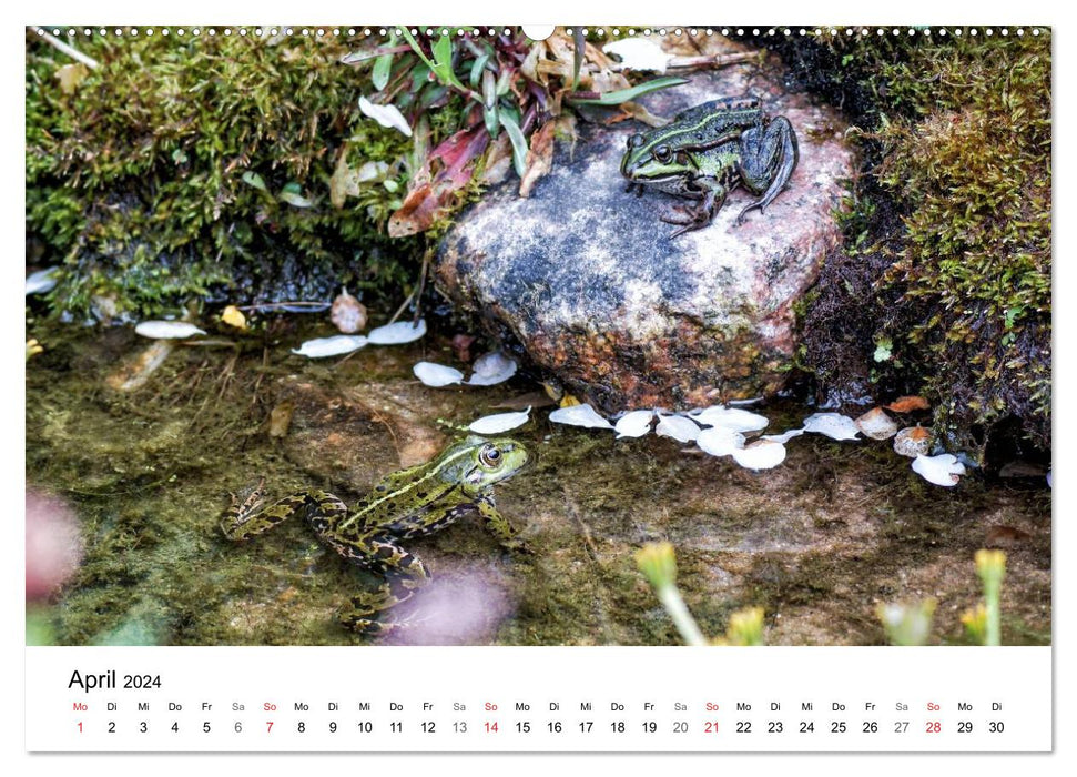 Jardin naturel paradisiaque (Calendrier mural CALVENDO 2024) 