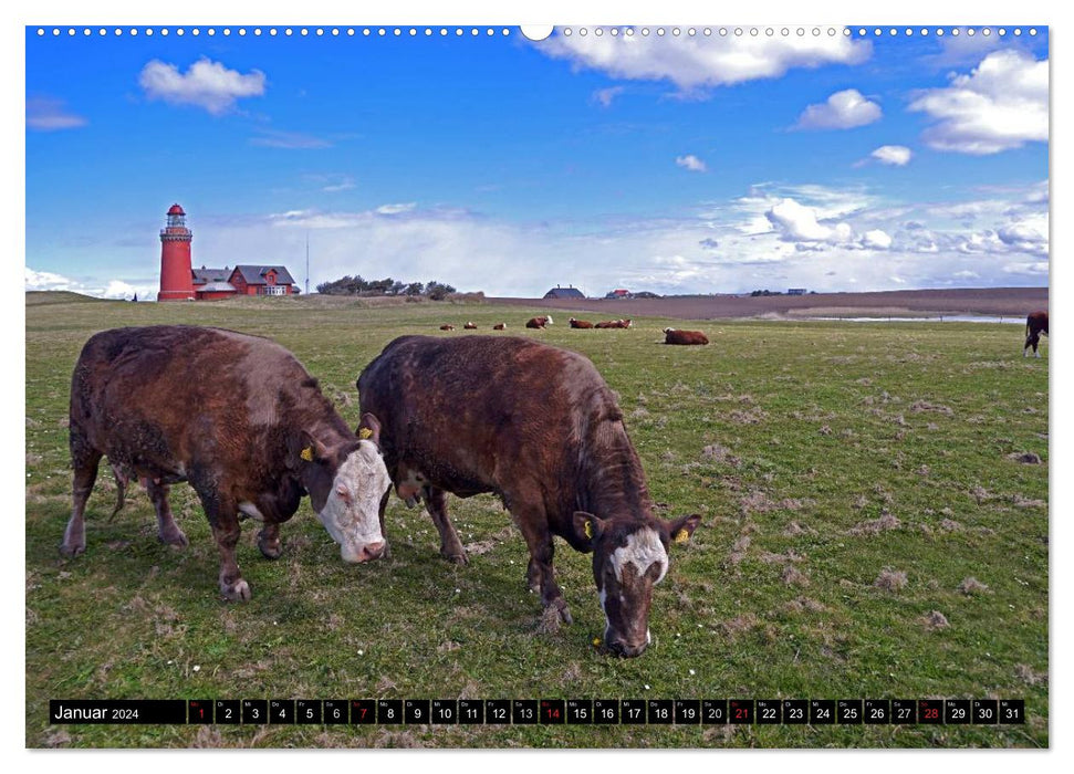 Jutland Coast 2024 (CALVENDO Wall Calendar 2024) 