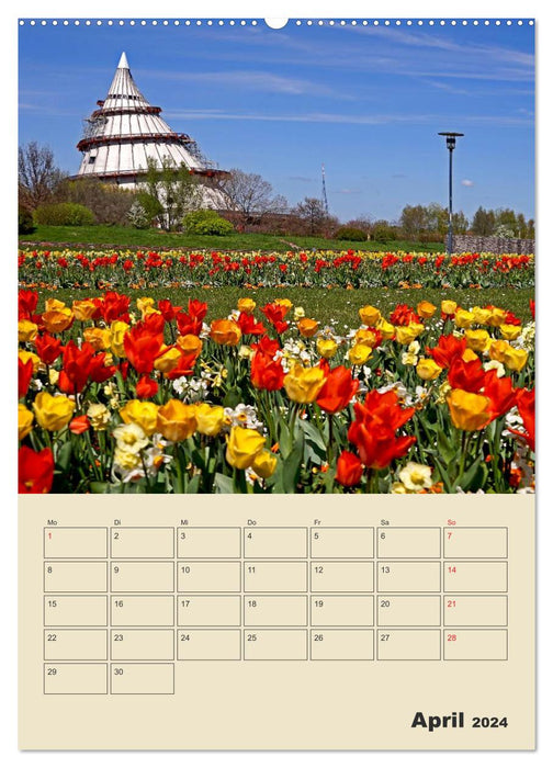 Komm nach Magdeburg (CALVENDO Premium Wandkalender 2024)