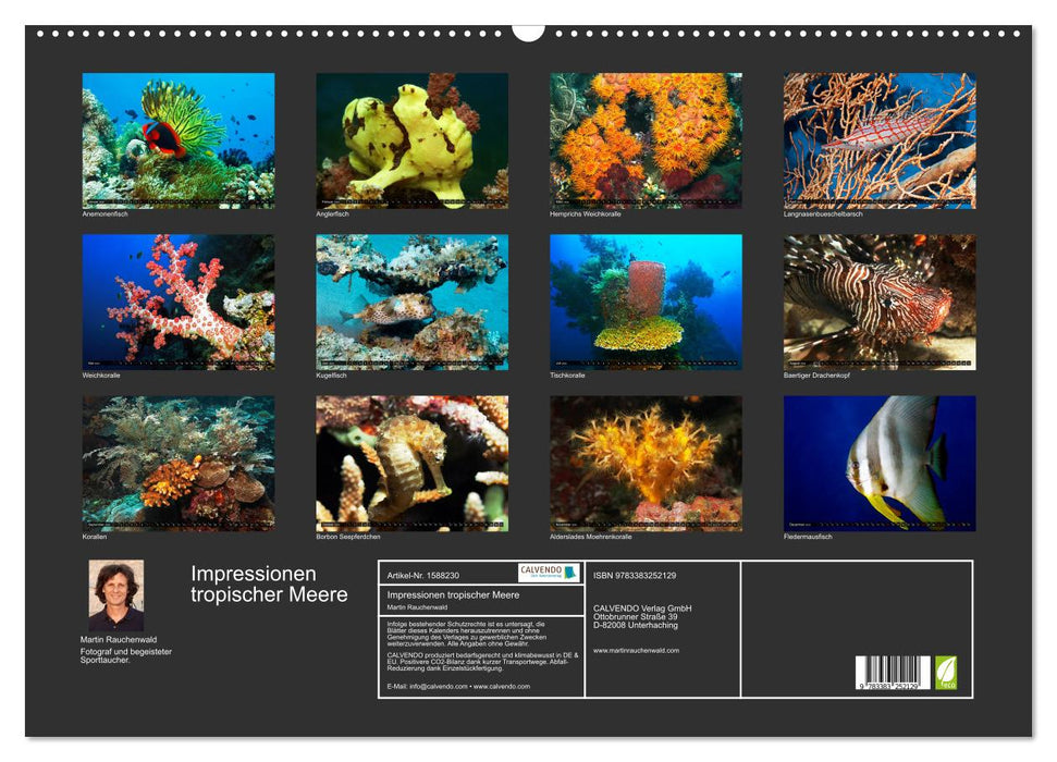 Impressionen tropischer Meere (CALVENDO Wandkalender 2024)