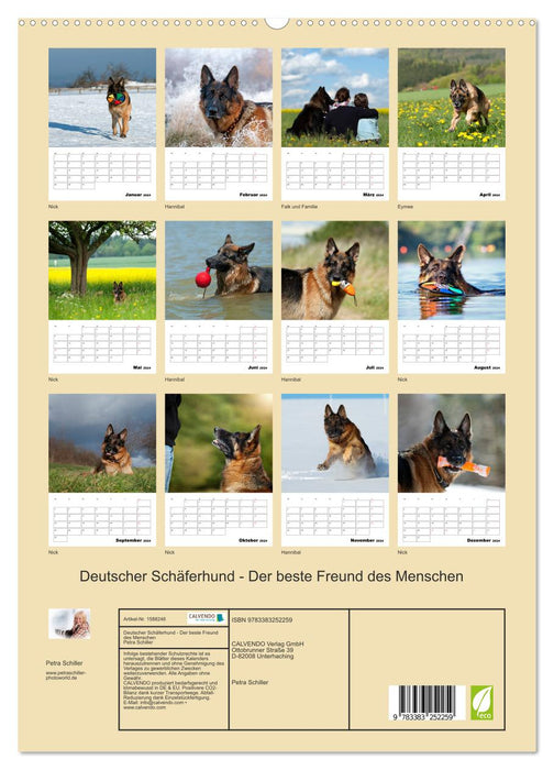 German Shepherd Dog - Man's Best Friend (CALVENDO Premium Wall Calendar 2024) 