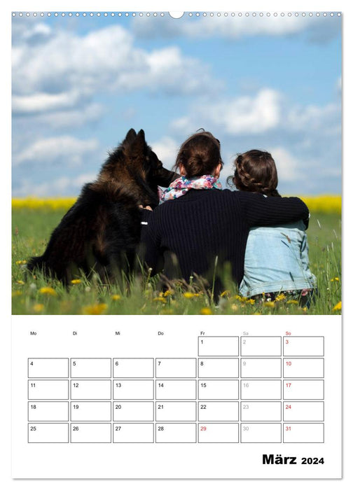 German Shepherd Dog - Man's Best Friend (CALVENDO Premium Wall Calendar 2024) 