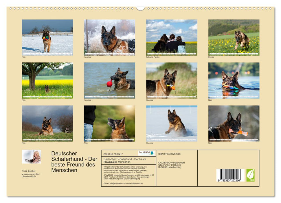 Deutscher Schäferhund - Der beste Freund des Menschen (CALVENDO Premium Wandkalender 2024)