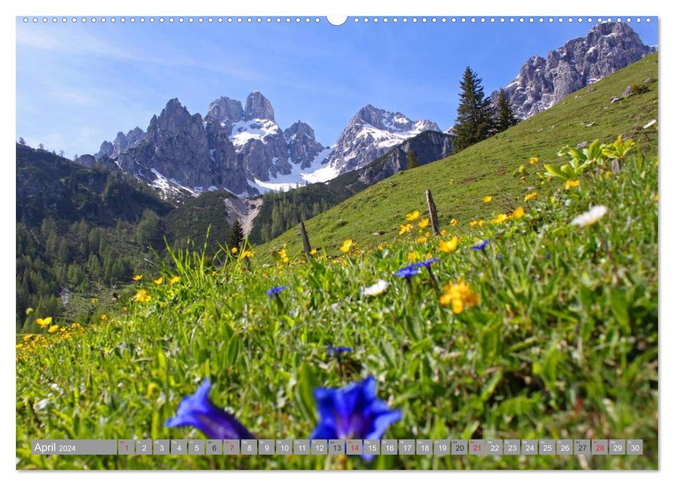 The Bischofsmütze in the beautiful Salzburger Land (CALVENDO wall calendar 2024) 