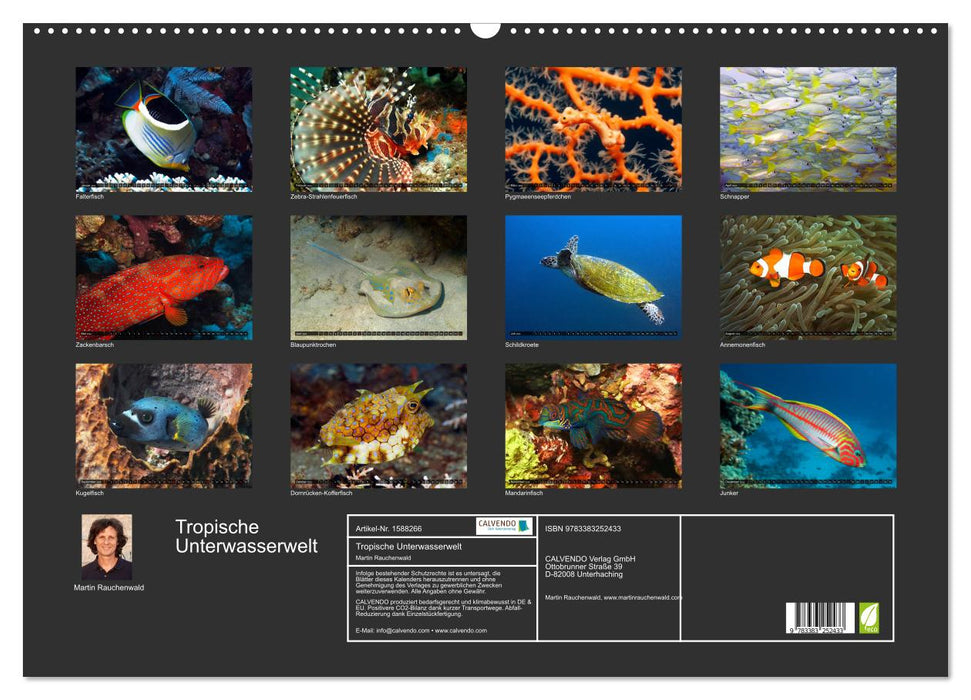Tropische Unterwasserwelt (CALVENDO Wandkalender 2024)