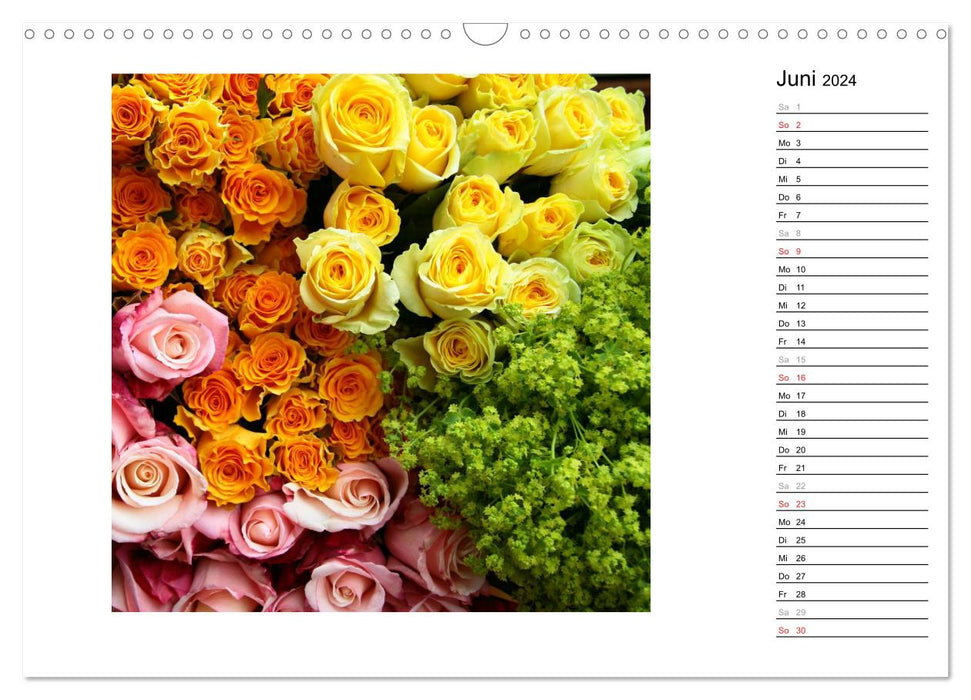 Die vielen Gesichter der Rosen (CALVENDO Wandkalender 2024)