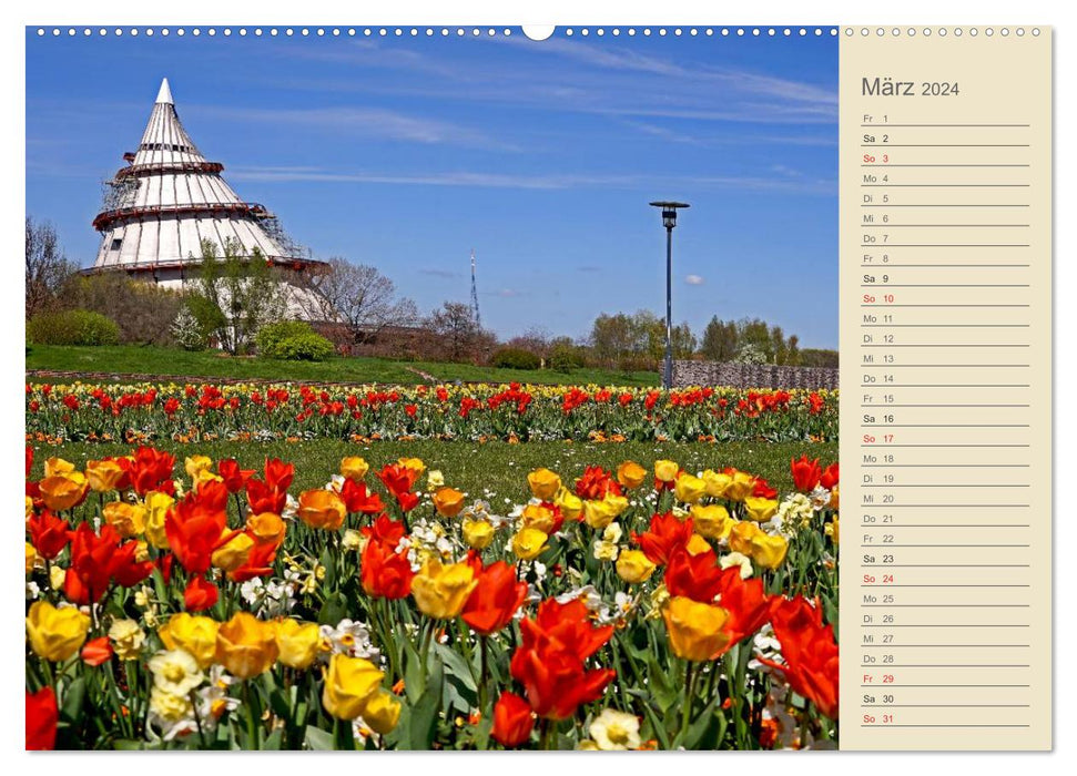 Magdeburg on the Elbe 2024 (CALVENDO wall calendar 2024) 