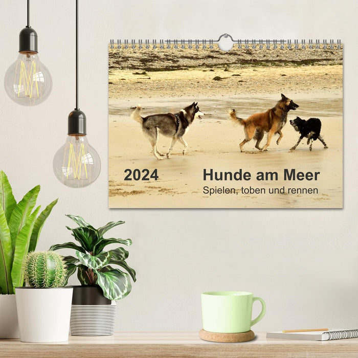 Hunde am Meer - Spielen, toben und rennen (CALVENDO Wandkalender 2024)