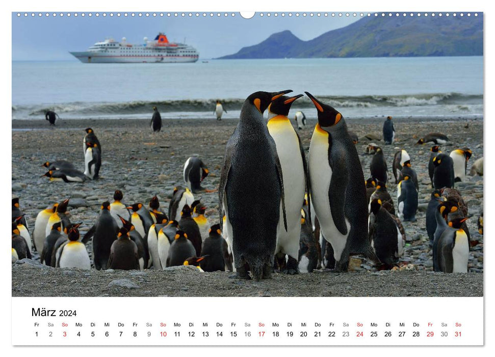 Expeditions-Kreuzfahrten MS BREMEN und MS HANSEATIC (CALVENDO Premium Wandkalender 2024)