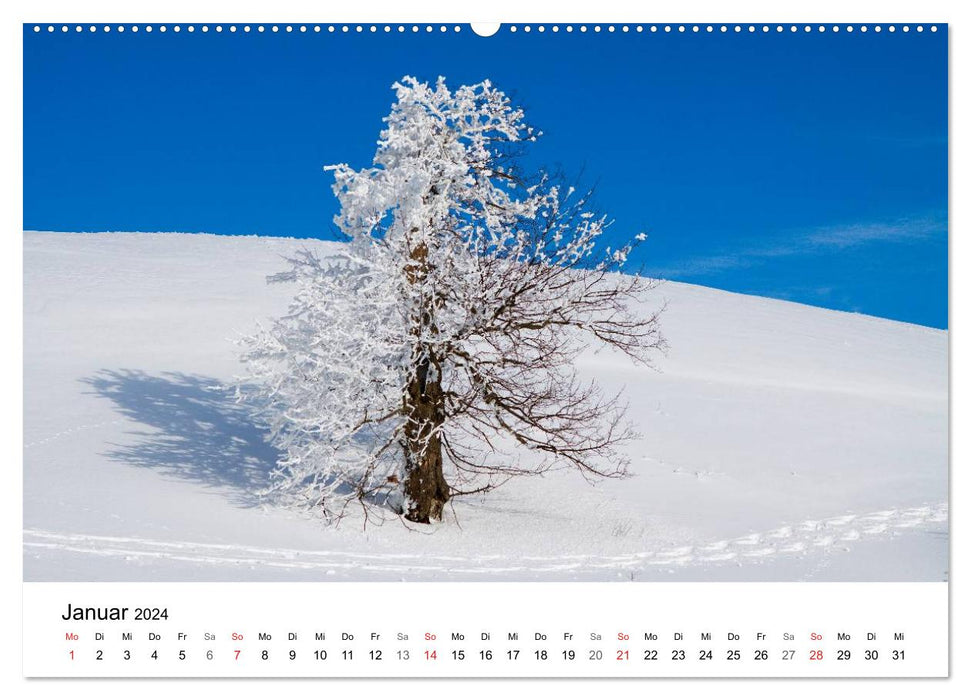 On new paths (CALVENDO wall calendar 2024) 