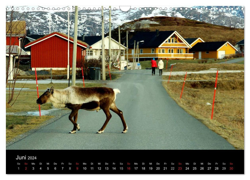 Winter dream Northern Norway (CALVENDO wall calendar 2024) 