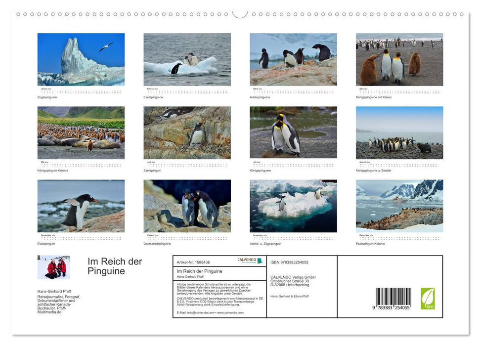 Im Reich der Pinguine (CALVENDO Premium Wandkalender 2024)