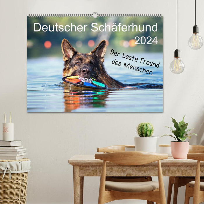 Deutscher Schäferhund - Der beste Freund des Menschen (CALVENDO Wandkalender 2024)