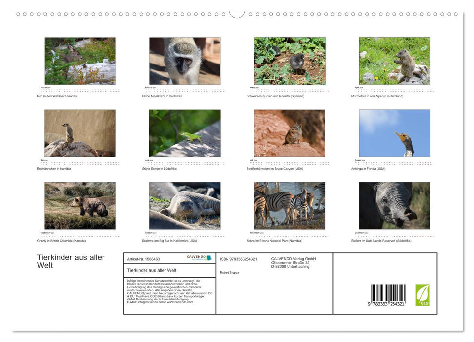Tierkinder aus aller Welt (CALVENDO Premium Wandkalender 2024)