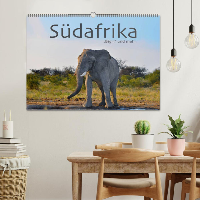 South Africa - Big 5 and more (CALVENDO wall calendar 2024) 