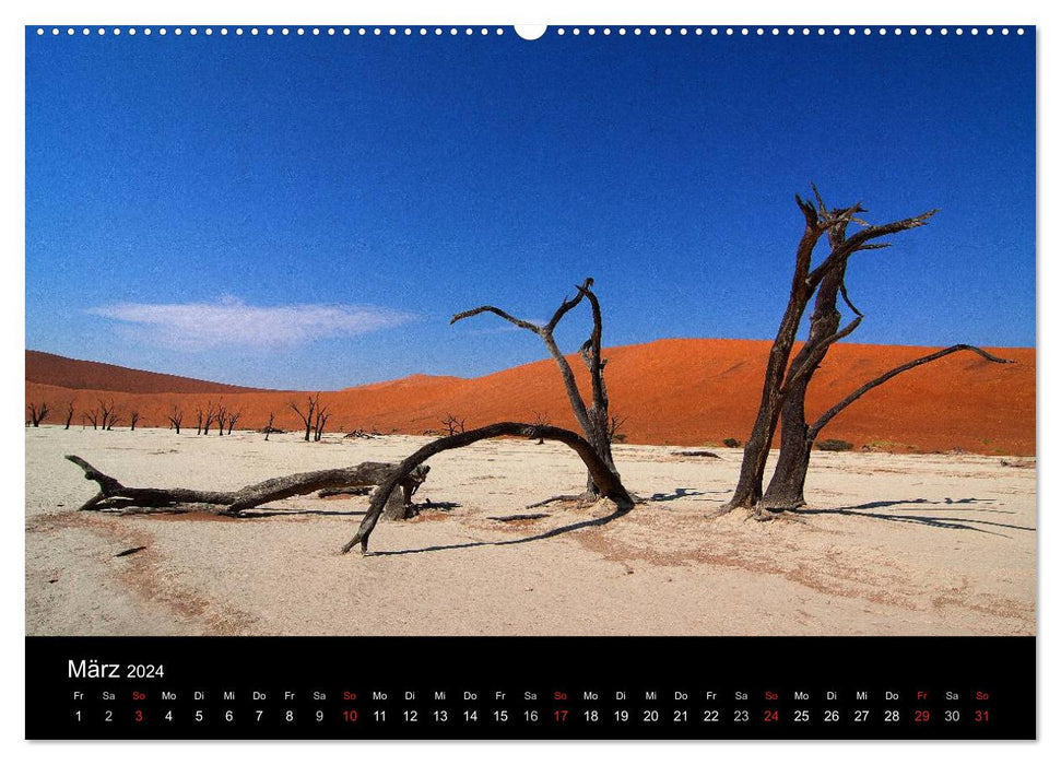 Abenteuer Afrika (CALVENDO Premium Wandkalender 2024)
