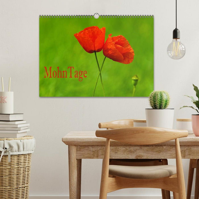 Poppy Days (CALVENDO wall calendar 2024) 