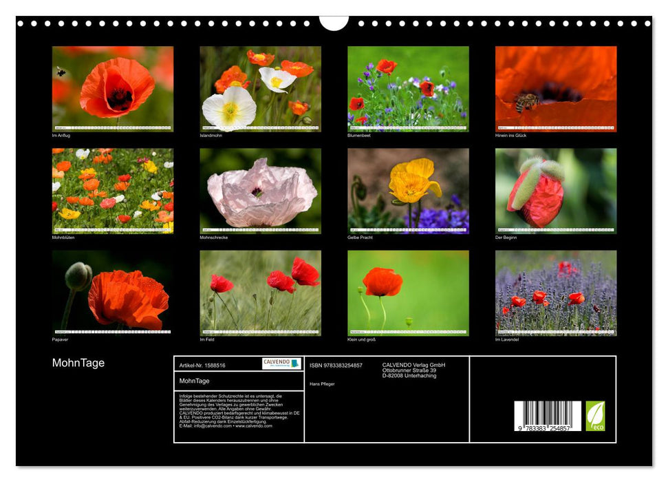 Poppy Days (CALVENDO wall calendar 2024) 