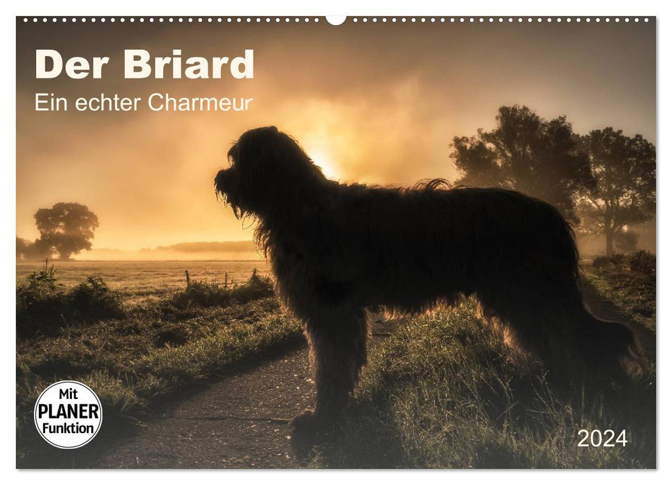 Der Briard 2024 - Ein echter Charmeur (CALVENDO Wandkalender 2024)