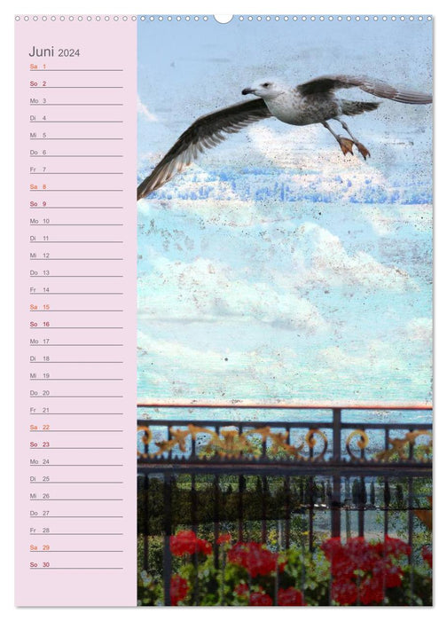 Carpe diem - joy of life (CALVENDO wall calendar 2024) 