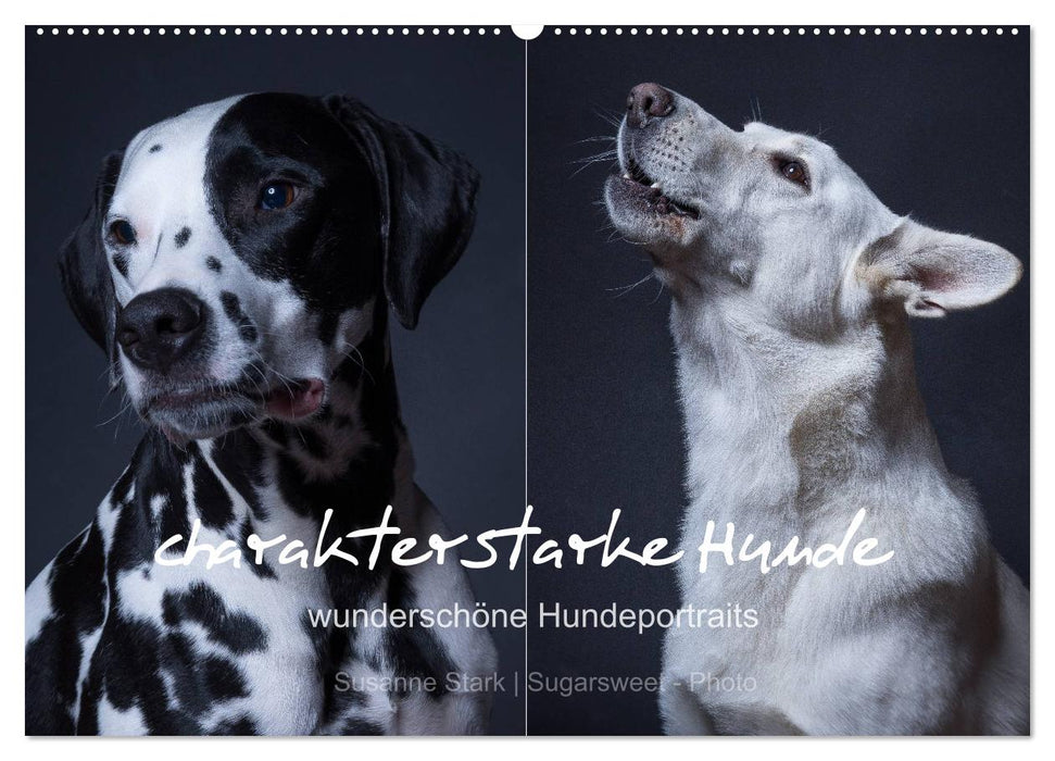 Strong-character dogs, beautiful dog portraits (CALVENDO wall calendar 2024) 