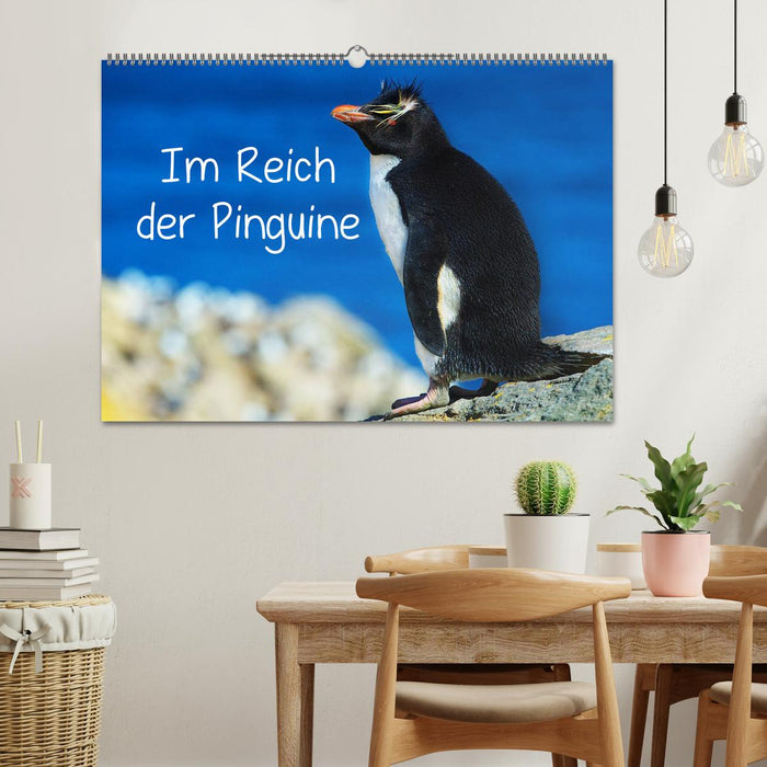 Im Reich der Pinguine (CALVENDO Wandkalender 2024)