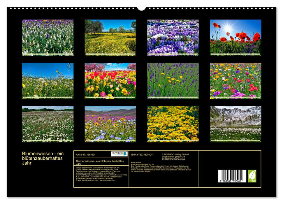 Blumenwiesen – ein blütenzauberhaftes Jahr (CALVENDO Premium Wandkalender 2024)