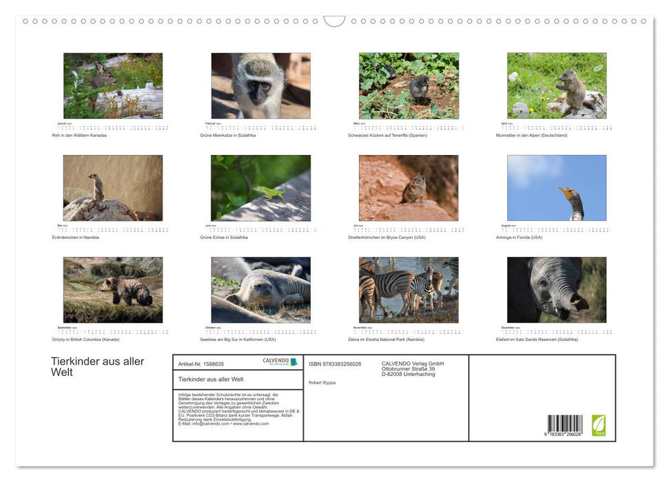 Animal children from all over the world (CALVENDO wall calendar 2024) 