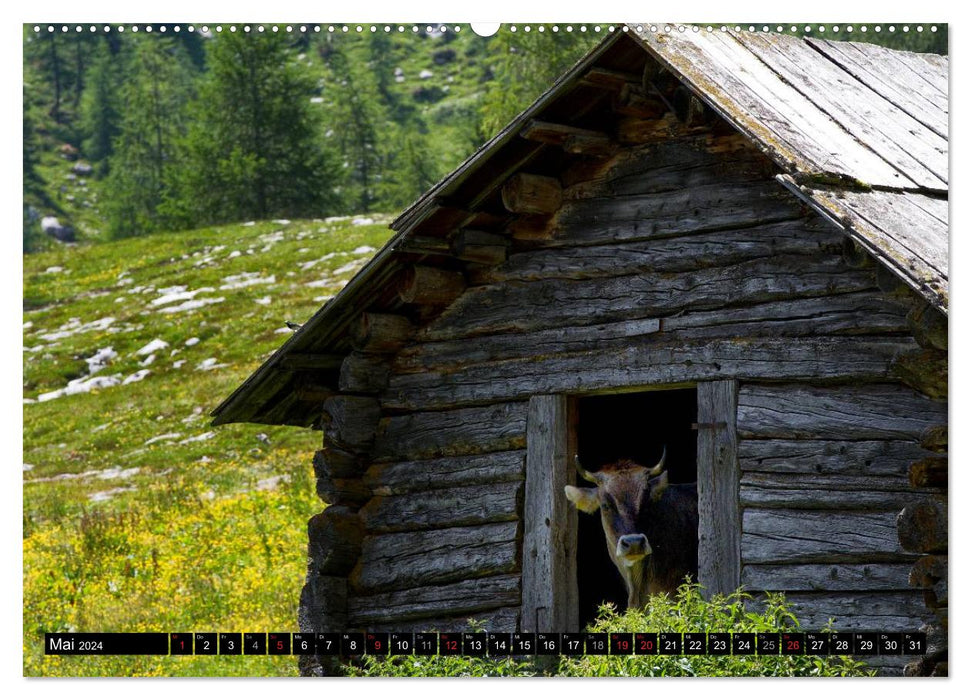 In the realm of Fanes - legendary world of the Dolomites (CALVENDO wall calendar 2024) 