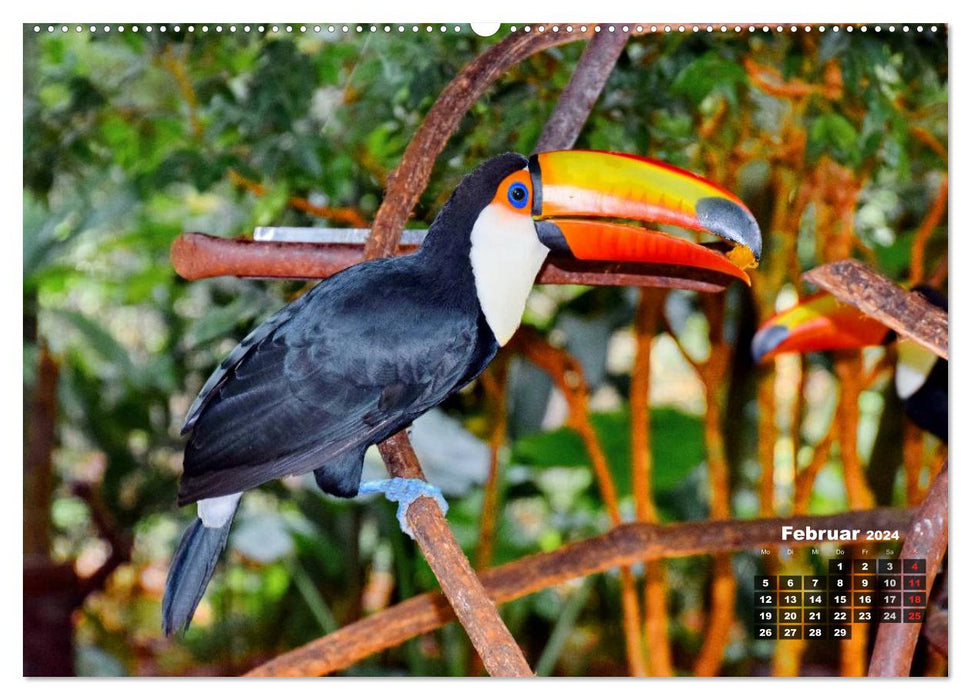 Brasilien. Der Iguazú-Nationalpark (CALVENDO Premium Wandkalender 2024)