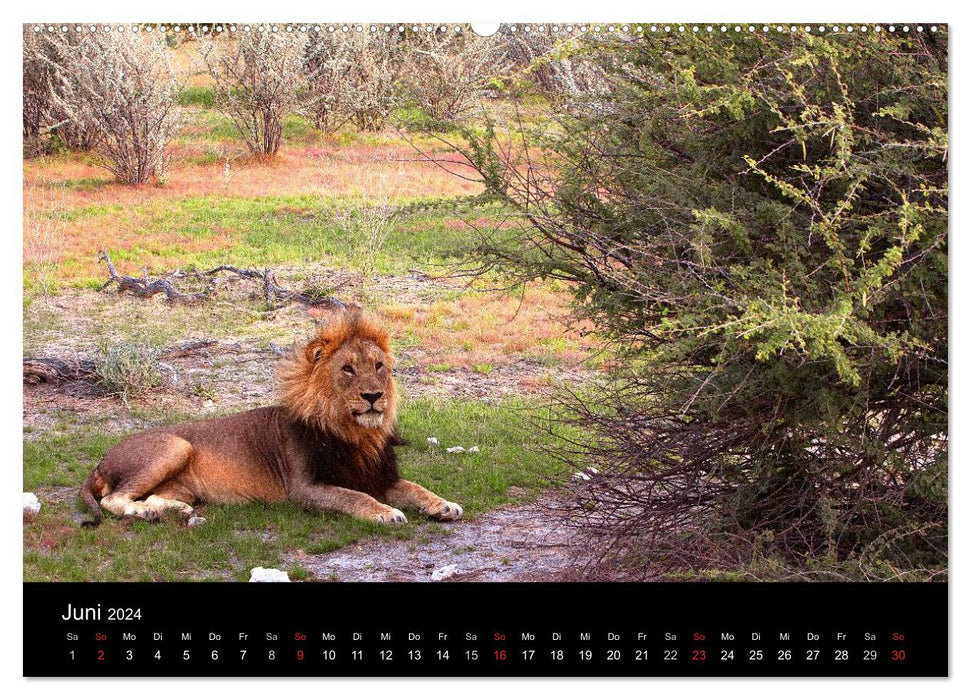 Adventure Africa (CALVENDO wall calendar 2024) 