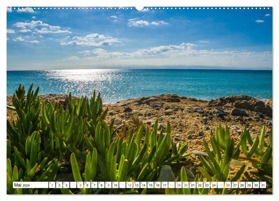 Miami Platja - Unvergessliche Meerblicke (CALVENDO Premium Wandkalender 2024)