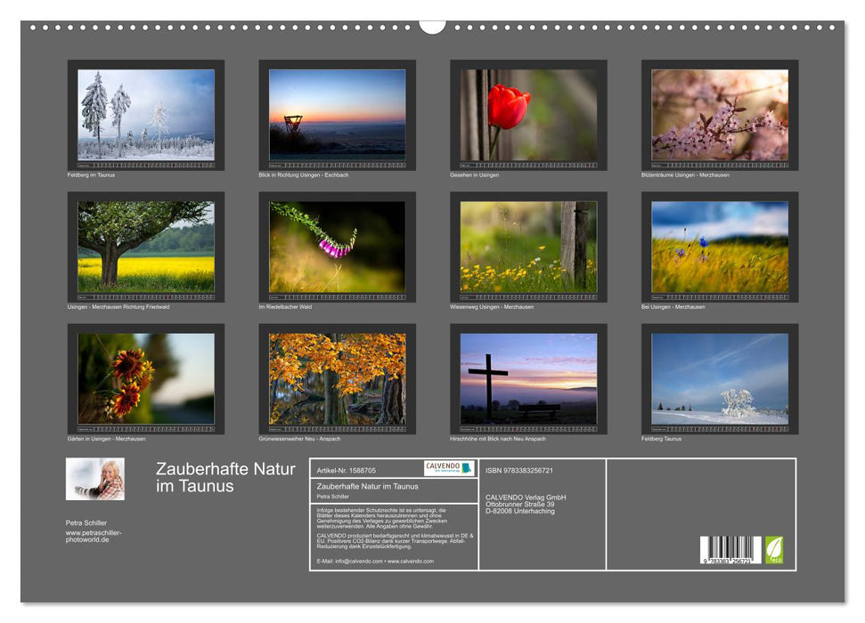 Magical nature in the Taunus (CALVENDO wall calendar 2024) 