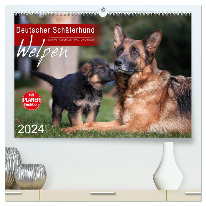 Deutscher Schäferhund - Welpen (CALVENDO Premium Wandkalender 2024)