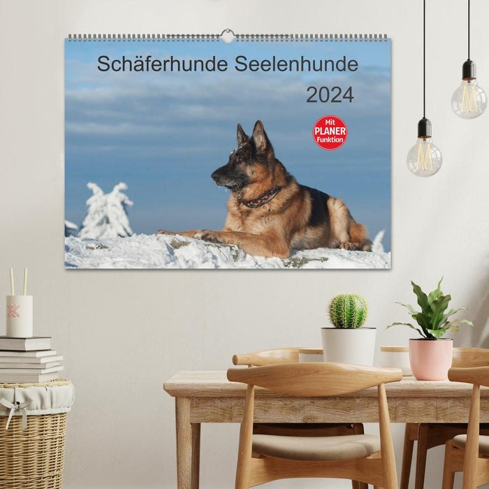 Schäferhunde Seelenhunde (CALVENDO Wandkalender 2024)