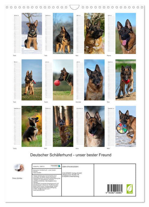 German Shepherd - our best friend (CALVENDO wall calendar 2024) 